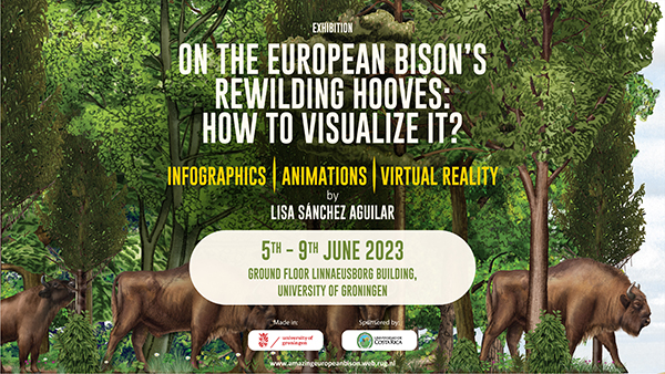 Exhibition: “On the European bison’s rewilding hooves: how to visualize it?”