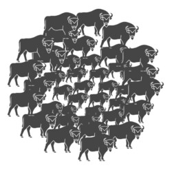 European bison vector bunch