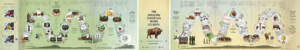 The Amazing European bison journey