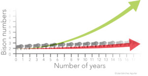 Example graph showing population growth versus time