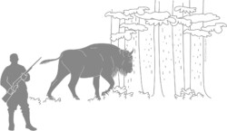 European bison entering forest with person holding a rifle