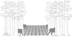 European bison entering forest, open space taken up by agriculture