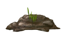 Dung with grass