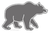 Brown bear (Ursus arctos)