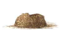 Haystack
