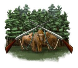 Two European bison in forest with two rifles in front
