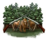 Two European bison in forest with two rifles in front