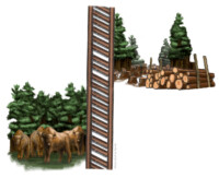 European bison in forest and forest with timber divided by fence.