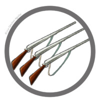 Three rifles.
