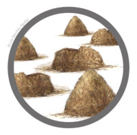 Haystacks