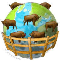 European bison around world with fence around