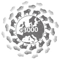 Map of Europe surrounded by European bison