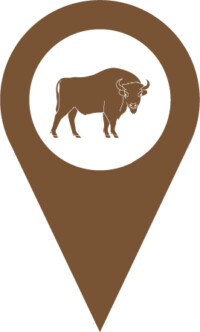 European bison location icon