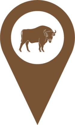 European bison location icon