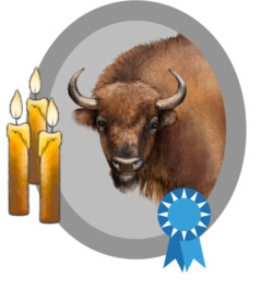 Male European bison with candles and ribbon