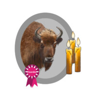 Female European bison with candles and ribbon