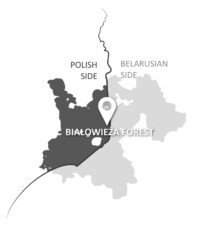 Map of the Białowieża forest