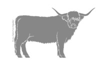 Scottish Highlander (greyscale flat fill illustration)