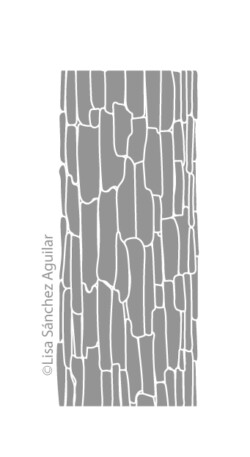 Oak bark (greyscale flat fill illustration)