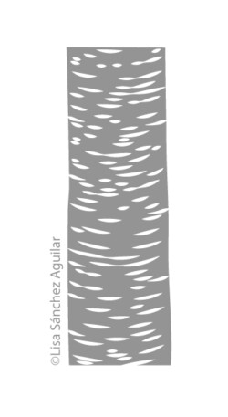 Rum/black cherry bark (greyscale flat fill illustration)