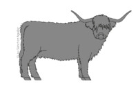 Scottish Highlander (greyscale linear+flat fill illustration)