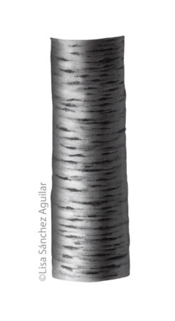 Rum/black cherry bark (greyscale realism illustration)