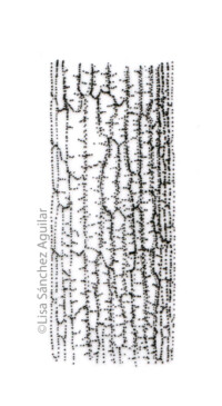 Oak bark (greyscale stippled illustration)