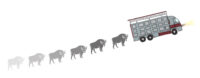European bison behind truck