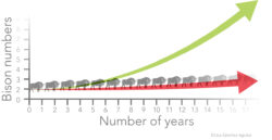 Example graph showing population growth versus time