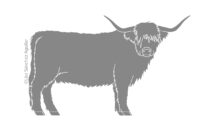Scottish Highlander (greyscale flat fill illustration)
