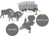 European bison from Lelystad to Kraansvlak