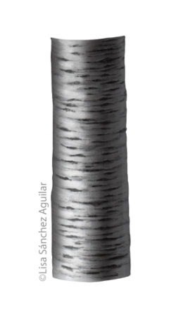 Rum/black cherry bark (greyscale realism illustration)